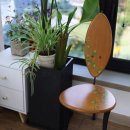 파르데스 | 자연과 함께하는 힐링! 공주 펜션 파르데스 방문 후기