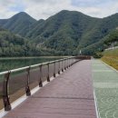 도담삼봉 자전거길 이미지