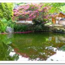 남간정사 이미지