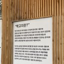 광안시장박고지김밥