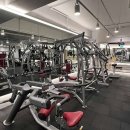 라이언 휘트니스 이미지