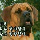 예