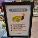 요기보신세계센텀시티
