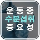 워너짐 하단점 이미지