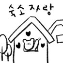 스테이 봉정 이미지