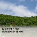 오디스토리 이미지