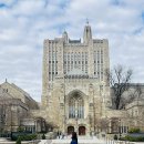 아이비 | 뉴욕 근교여행 추천 보스턴 당일치기 아이비리그투어 내돈내산 후기