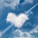 하나부동산경매공인중개사사무소 이미지