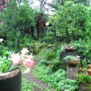 통나무집펜션 이미지