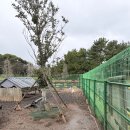 [외부]서각 | 제주여행 3박 4일 | 제주에서 가장 제주다운 곳 "제주민속촌" - 전통가옥 체험, 민속장터 식사, 동물원...