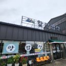 키코1983 이미지