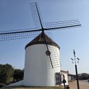 구미에코랜드 야외주차장 화장실 | 제주도 겨울 동쪽 에코랜드 테마파크 후기