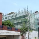 리코 gr4 사진 작례 모노크롬 시네마톤 후기