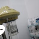 레몬슈가왁싱뷰티 - 서구 둔산남로9번길 89 | 레몬슈가왁싱뷰티