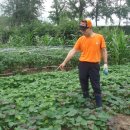 도원농장 이미지