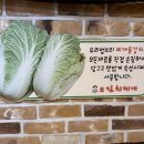 따로김치찌개