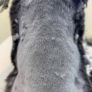 무마취 고양이 미용실 반할고양 이미지