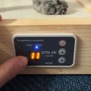 꿀잠자리 | 반려견 온열침대 추천 프렌즈 꿀잠베드 3월 할인 이벤트 + 서포터즈 사용 후기