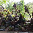 정원펜션민박 이미지