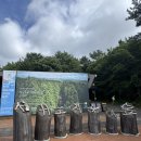산록남로입구 | 제주 서귀포 가볼 만한 곳｜서귀포 치유의숲, 대한민국 100대 명품숲 (N번째 방문 후기)