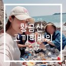 충남 서산 황금산 주차장부터 코끼리바위 등산로 정리