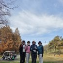 한원cc 승림 정숙 혜숙 이미지