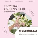 꽃과정원원예연구소학원 | 복지기관원예수업 | 초승달형 센터피스 원예 강의 수업 꽃과정원 원예연구소 학원
