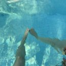 호텔친구