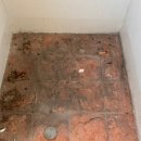 이월부영 이미지