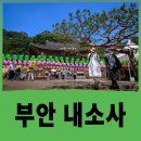 부안 내소사 여행후기, 전나무숲길 부터 대웅보전까지 꼭 봐야 할 코스