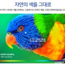 월드공조 이미지