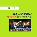 로얄카지노PC 이미지