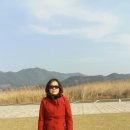 순천만힐링 이미지