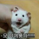 중앙영상 이미지