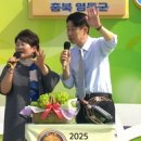 내가 영동 아이돌 이미지