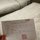 진도개패밀리 | 소노 진도 쏠비치 펫프렌들리 애견동반 숙소 패밀리 진도강아지허가증