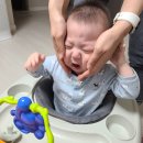 여우곰탕동탄 | [일상] 마뇽이 만나기(쮸 긔여움 주의) / 롯백푸드코트 솔직평 / 가죽공방 / 쉑쉑버거 비싸 / 성게알...