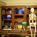 이상은 살아있다. 이미지