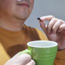 닥터유로포뮬라 이미지