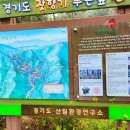 경기도 가평 잣향기 푸른숲 걸으러 갑니다..^^ 이미지