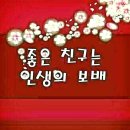 소떼들 이미지