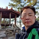 지천면사무소 이미지