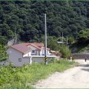 어진이네민박 이미지