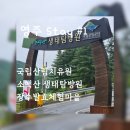 STAY29 | 영주(풍기)Stay #1-국립산림치유원, 소백산 생태탐방원, 장수발효체험마을