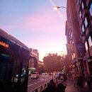 왕궁해물칼국수 | 가을 스페인여행 1일차 마드리드 (하드털기)