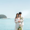 블루코코 컴퍼니 이미지