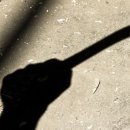 미수약국 이미지