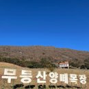 무등목장 네이버블로그