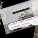 카페분