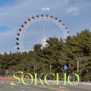 1박2일 족발 | 속초여행 1박2일 예스닭강정, 족발, 88생선구이, 속초옥수수소금빵